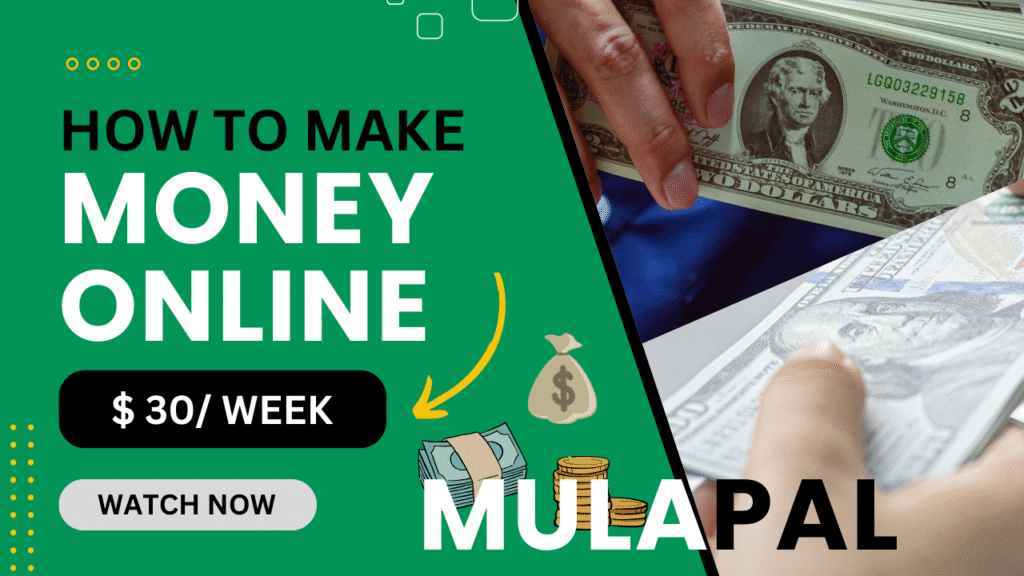 MulaPal Agency
