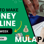 MulaPal Agency