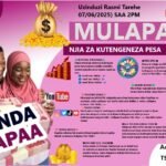 MulaPal – How It works!