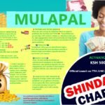 MulaPal is Legit!